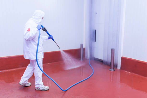 Trusted Susitna North, AK Pressure Washing Experts